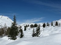 14-Veneroccolo e Torsoleto,visti attraverso il passo del Giovetto